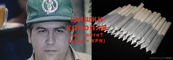 сатива Абдулино