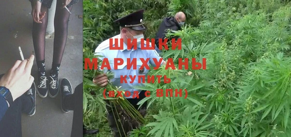 сатива Абдулино